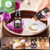 Ätherisches Öl-Set 10 ml Ätherische Pflanzenextrakte für Aromatherapie